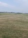 IMG_20250703_140721